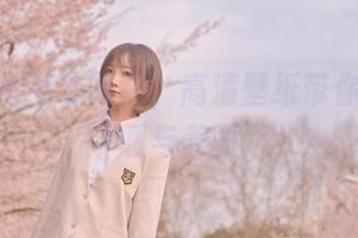 名濑弥七毛衣写真，高清壁纸带你感受温暖与美丽