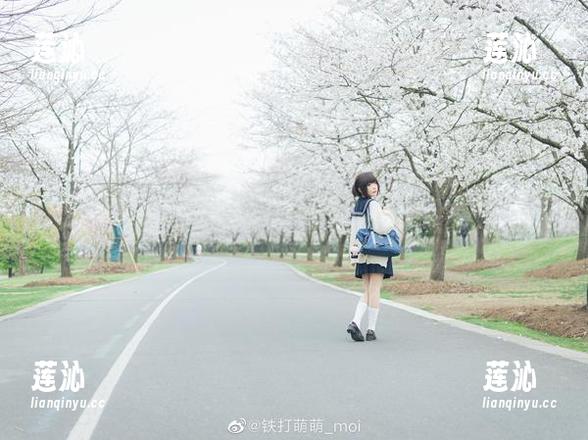 在王胖胖u的镜头下，看爱丽丝女仆cos如何展现迷人风采的图片！