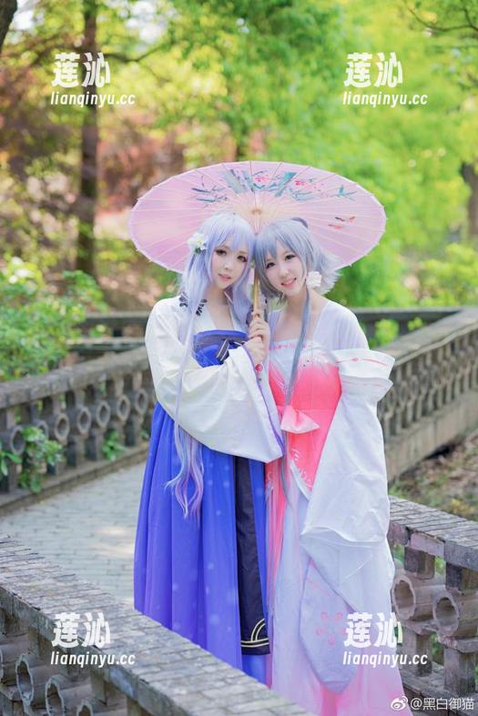 最新黑白御猫写真：细腻展现白猫的一日动人图片